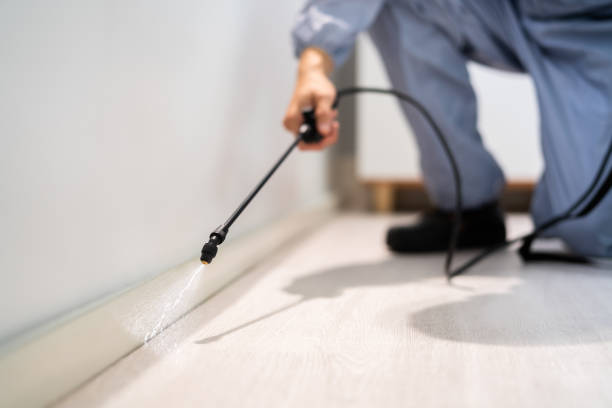 Licensed Pest Control service in Reedurban, OH - Show Me Pest Control